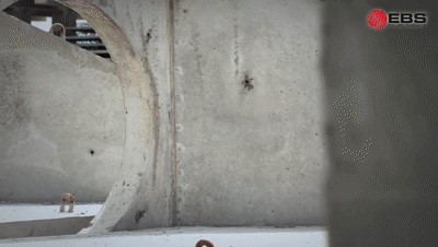 混凝土制品噴碼 圖4